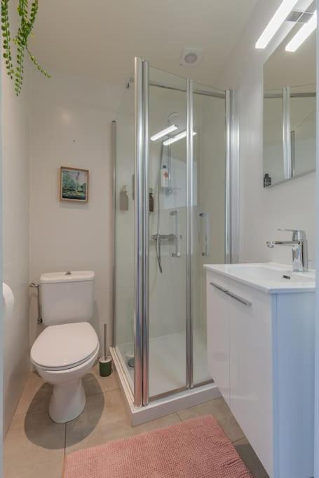 Appartement Cosy Duplex Nearby Centre Of For 6 Gent